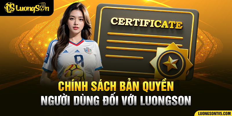 Nội dung chính sách bản quyền của người dùng đối với nền tảng